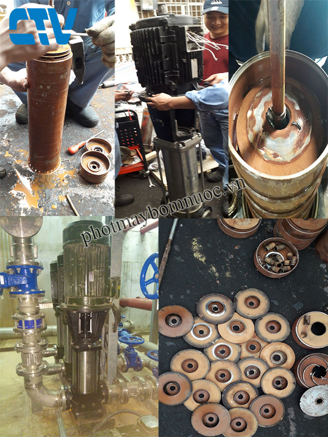 Kiểm tra, sửa chữa máy bơm trục đứng CNP uy tín chất lượng tại Miền Bắc